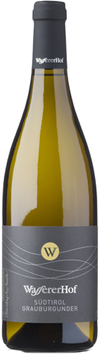 Pinot Grigio 2023 1