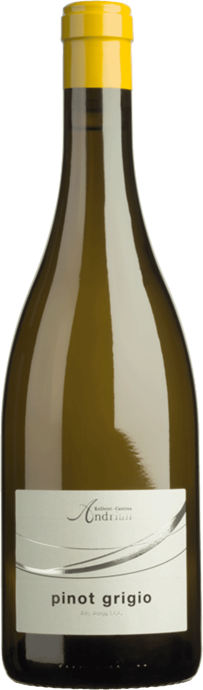Pinot Grigio 2025 1