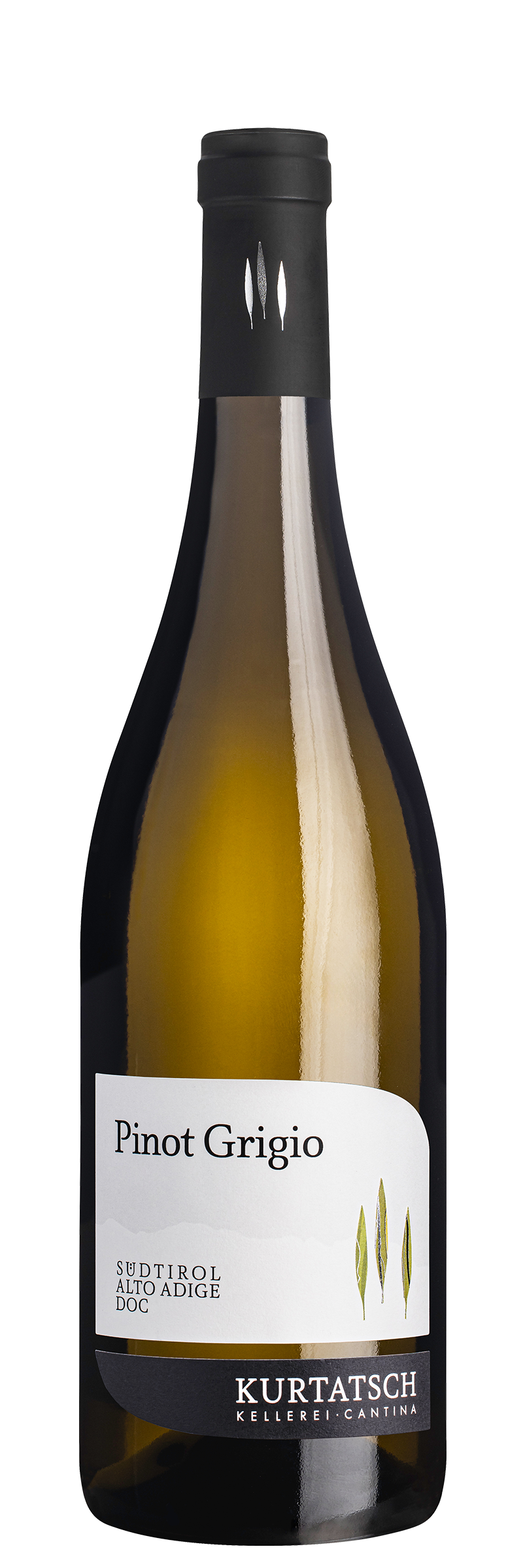 Pinot Grigio 2025 1