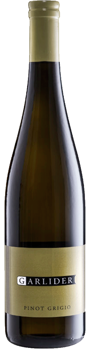 Pinot Grigio Bio 2023 1