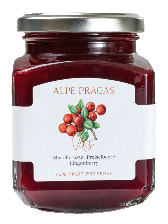 Preiselbeere Fruchtaufstrich 1