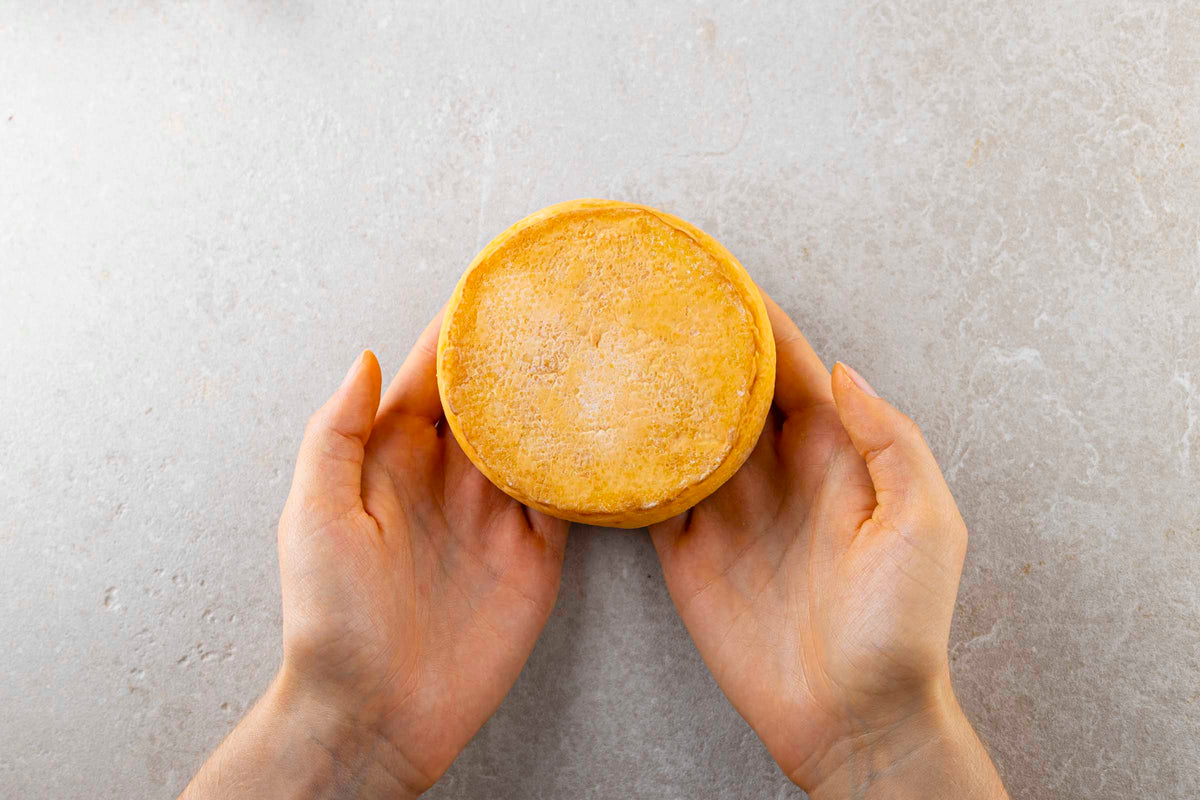Räucherkäse  2