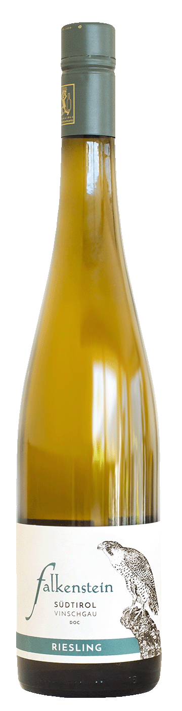 Riesling "Falkenstein" 2025 1