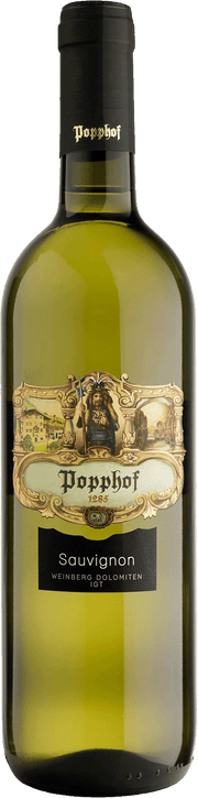 Sauvignon  2023 1