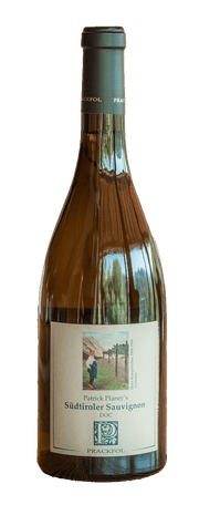 Sauvignon 2023 1