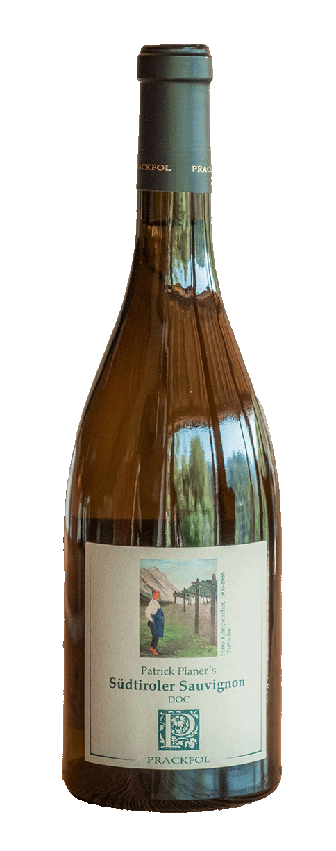 Sauvignon 2023 1