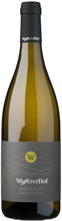 Sauvignon 2023 1