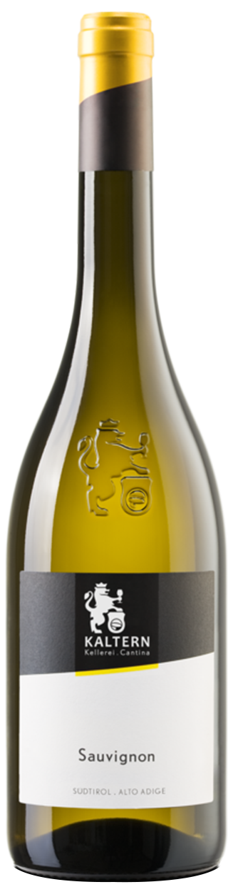 Sauvignon 2025 1