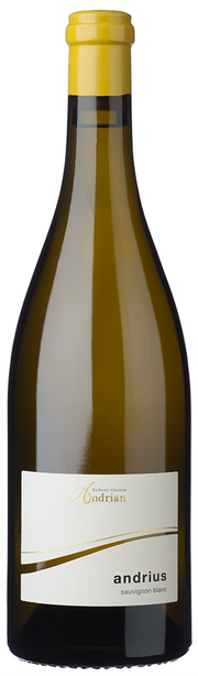 Sauvignon "Andrius" 2024 1