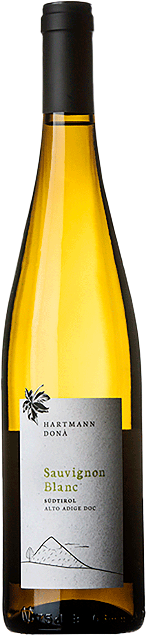 Sauvignon Blanc 2024 1