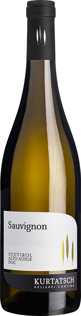 Sauvignon Blanc 2025 1