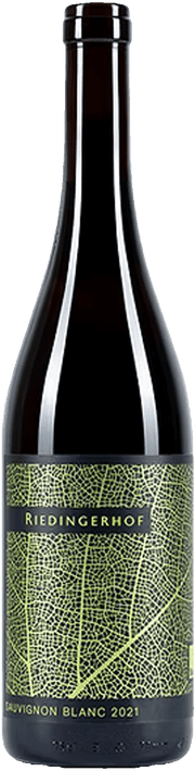 Sauvignon Blanc Bio 2022 1