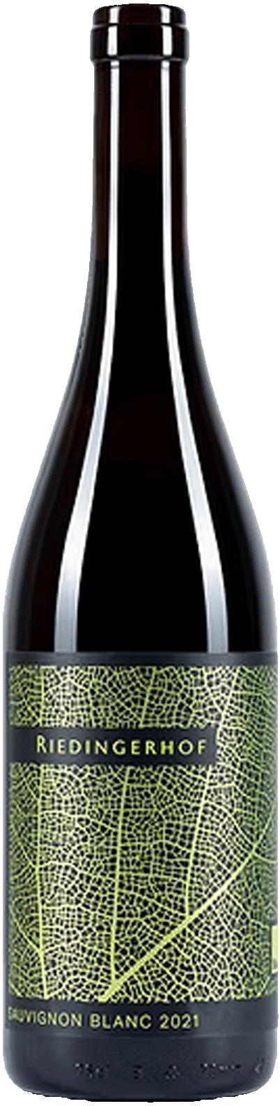 Sauvignon Blanc Bio 2022 1