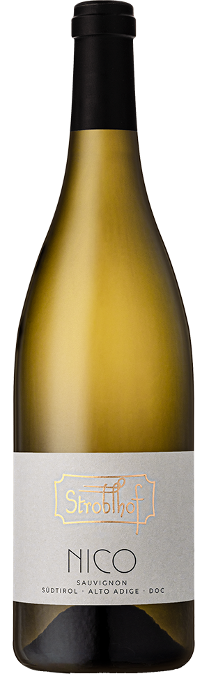 Sauvignon "Nico" 2024 1