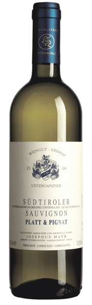Sauvignon "Platt & Pignat" 2025 1