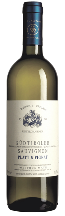 Sauvignon "Platt & Pignat" 2025 1
