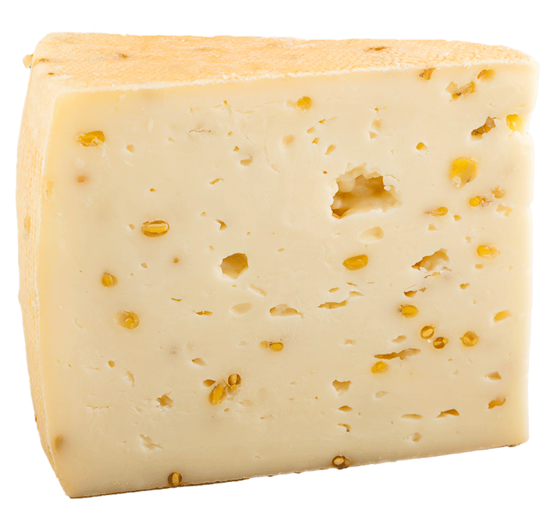 Schnittkäse Bockshornklee 1