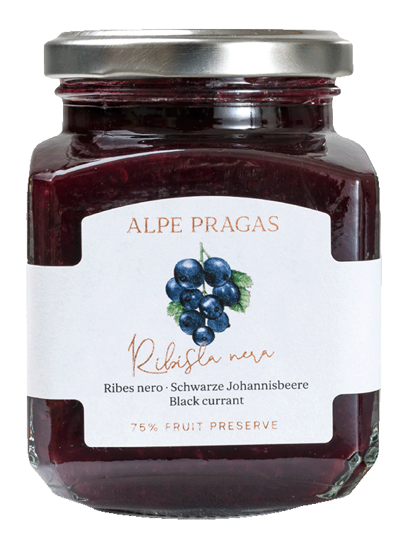 Schwarze Johannisbeere Fruchtaufstrich  1