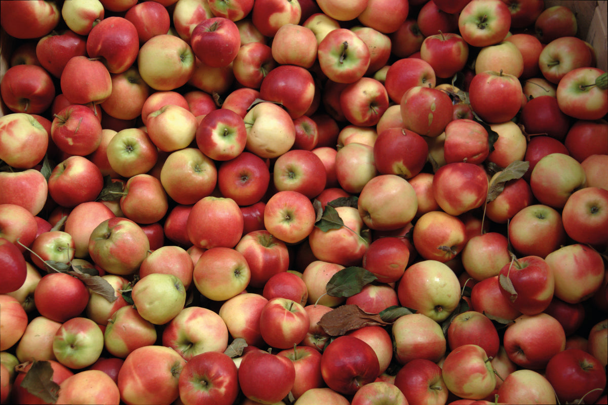 Apfelcidre "S'Pom" 7