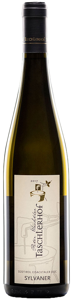 Sylvaner 2024 1