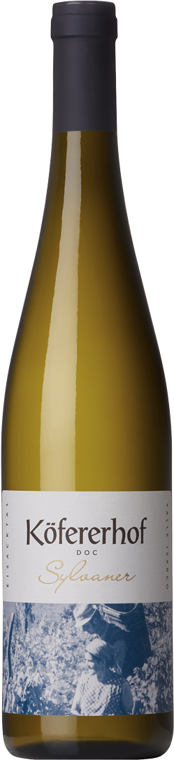 Sylvaner 2025 1