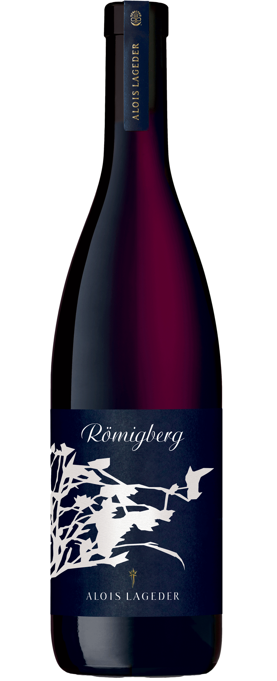 Vernatsch "Römigberg" Bio 2023 1