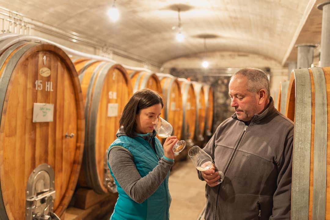 Riesling "Falkenstein" 2024 5