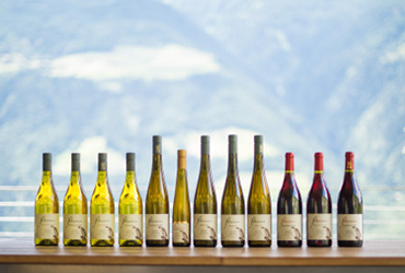 Riesling "Falkenstein" 2024 6