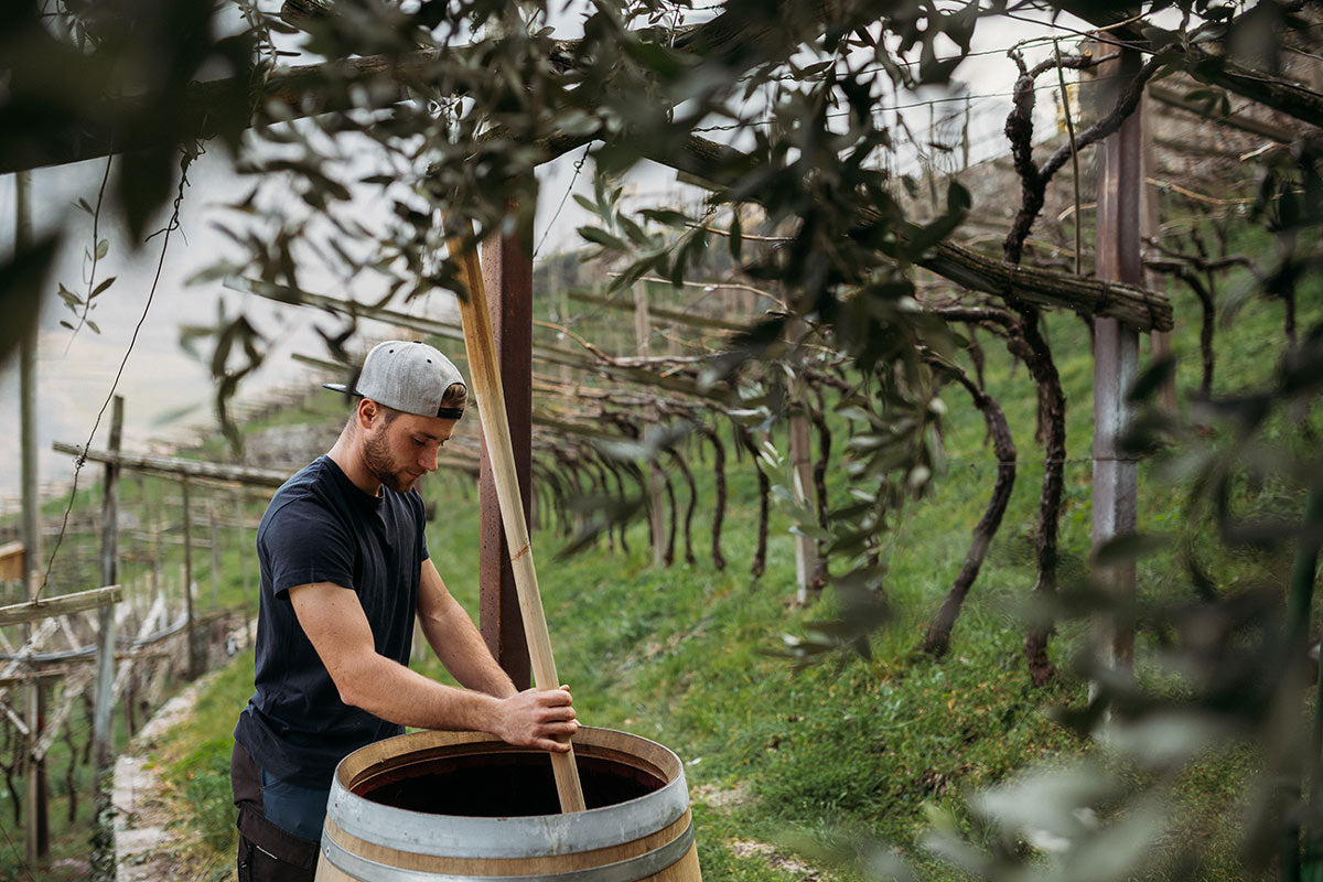 Weingut Fliederhof 1