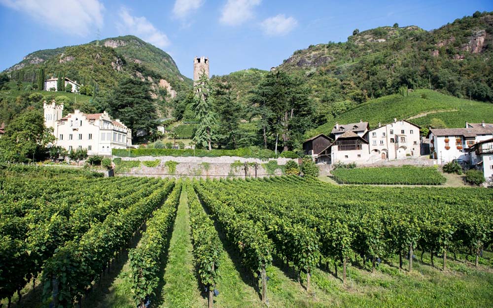 Lagrein Riserva "Select" 2020 4