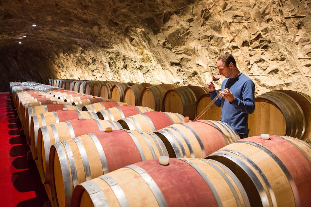 Pinot Grigio 2024 3