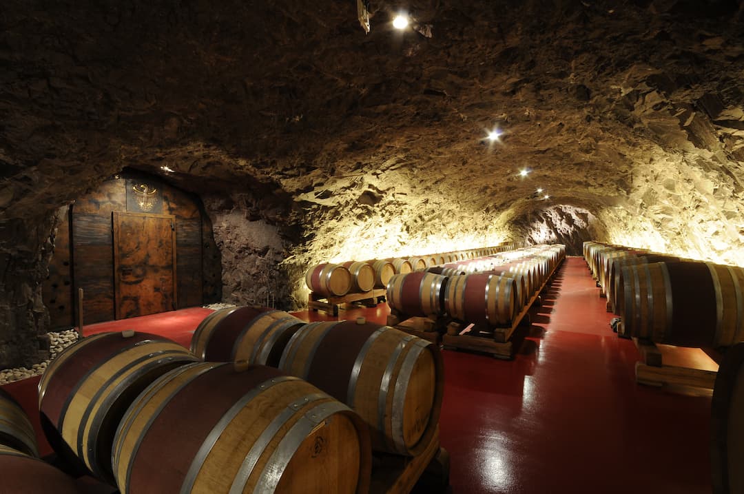 Pinot Grigio 2024 4