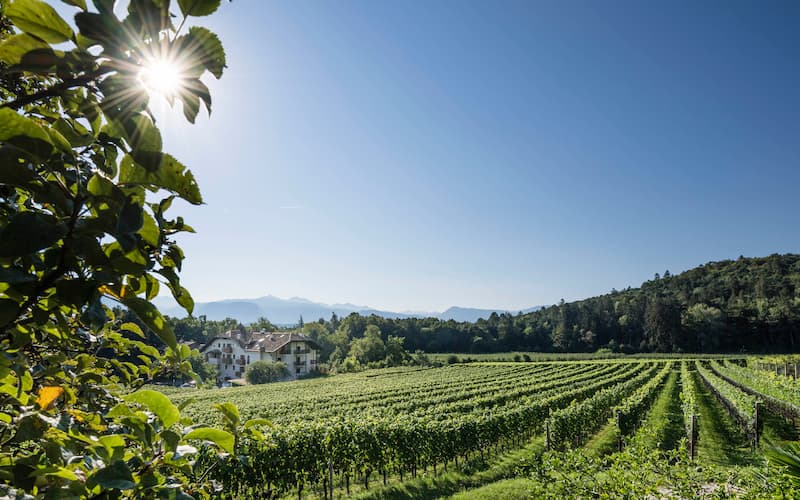 Blauburgunder Riserva 2021 3