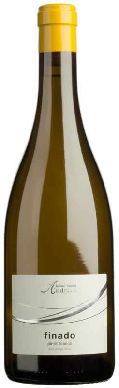 Weissburgunder "Finado" 2025 1