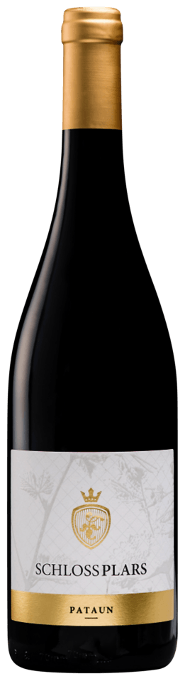 Weissburgunder "Pataun" 2025 1