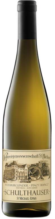 Weissburgunder "Schulthauser" 2025 1