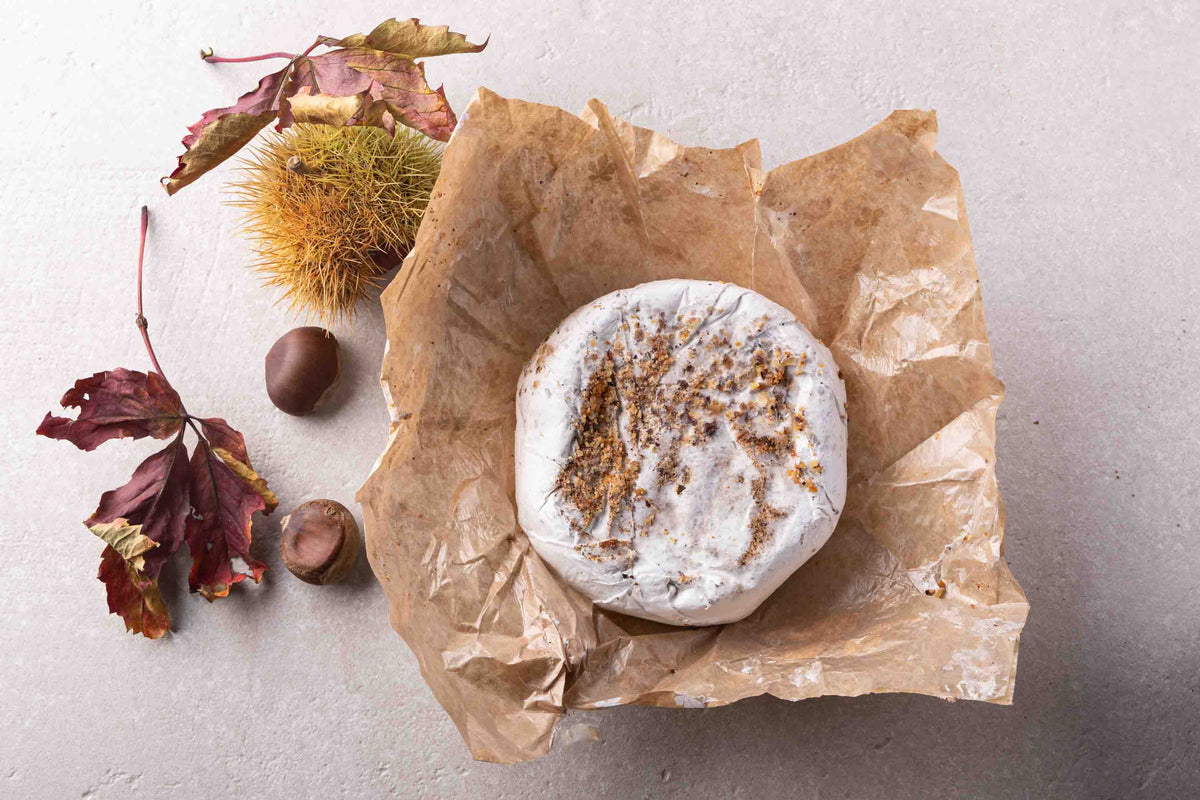 Weißschimmelkäse "Castanea" 2