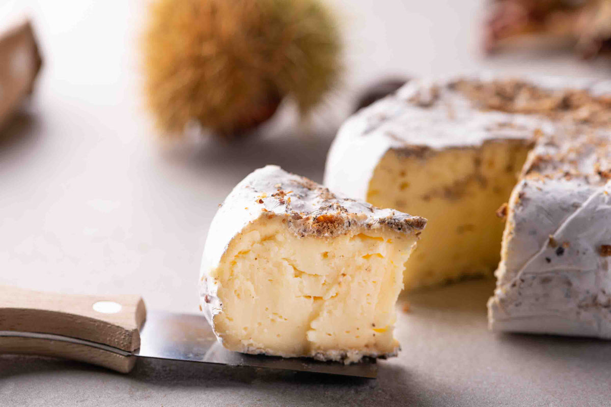Weißschimmelkäse "Castanea" 3