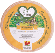 Wildkräuterkäse 1