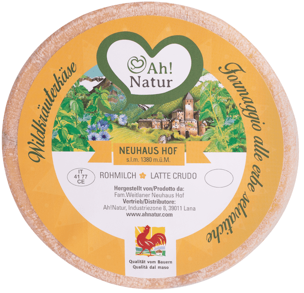 Wildkräuterkäse 1