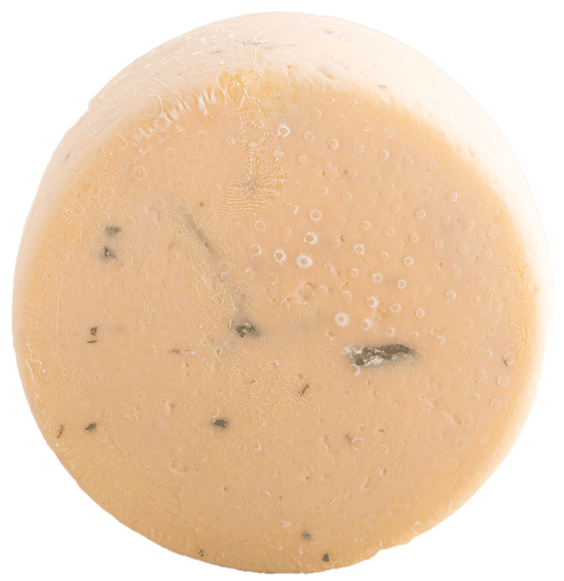 Wildkräuterkäse 4