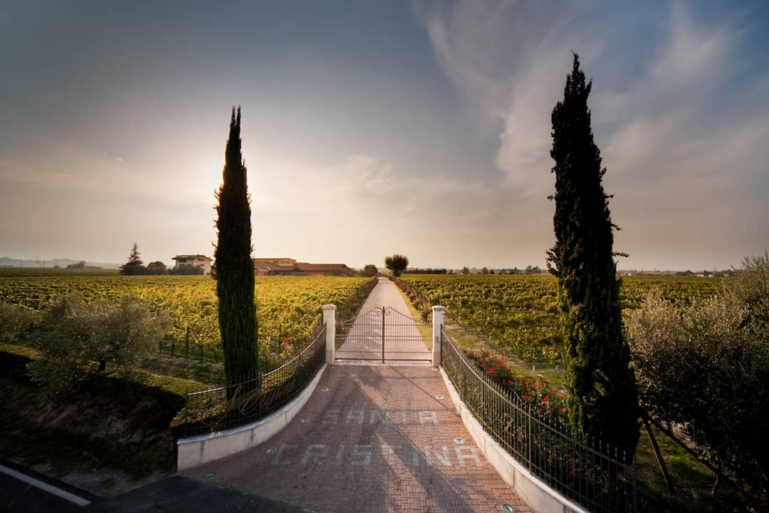 Valpolicella Ripasso Superiore "Ripassa" 2021 3