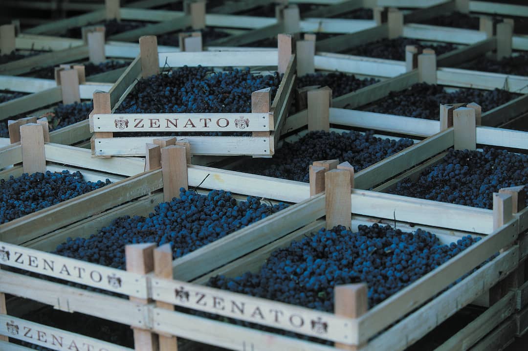 Valpolicella Ripasso Superiore "Ripassa" 2021 4