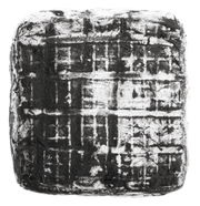 Ziegenweichkäse "Carbonito" 1