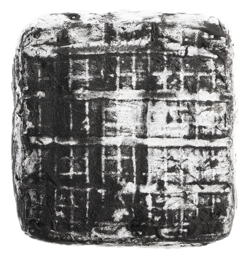 Ziegenweichkäse "Carbonito" 1